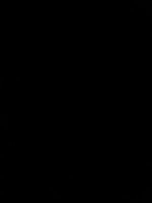Ad543a487e6a4459484a6c17d9f436e344.jpg